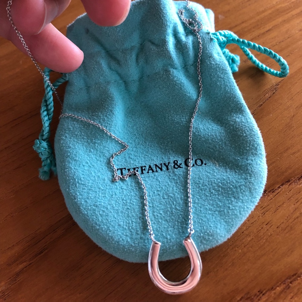 Tiffany & Co horseshoe pendant